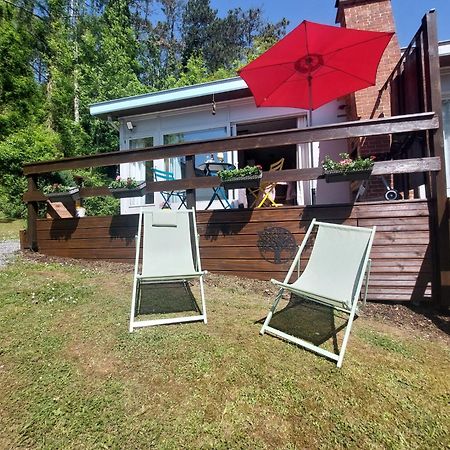 Le Petit Chalet - Bungalow Waulsort Zewnętrze zdjęcie